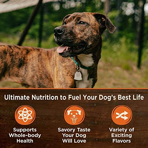 Wellness CORE 95% Adult Canned Wet Dog Food, Grain Free, Natural, Beef with Carrots Recipe, 12.5 oz, Pack of 12 Cans