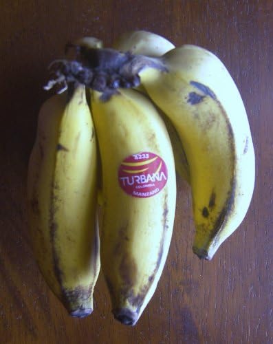 Manzano Apple Banana Plant ***Rare*** Live Manzano Apple Banana Tree