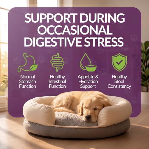 Amber NaturalZ Paxaid Dog Digestive Rescue Drops, Herbal, 1 FL OZ | Herbal digestive support drops for dogs & puppies; supports gut health, firm stools, normal appetite; USA-made