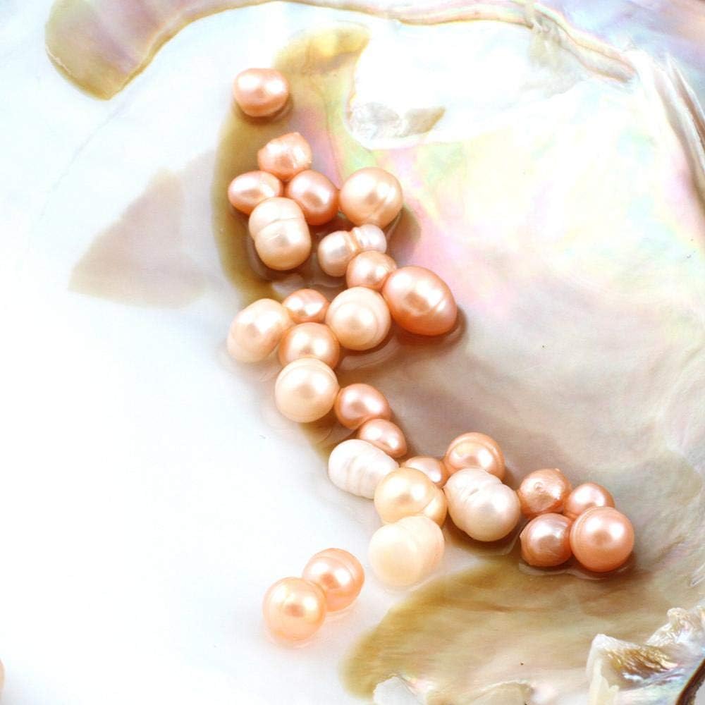 Oyster Pearls, Freshwater Cultured Big Oysters with Pearls Inside | Freshwater Cultured Oysters, Big Pearls Inside, Ideal For Home Decoration