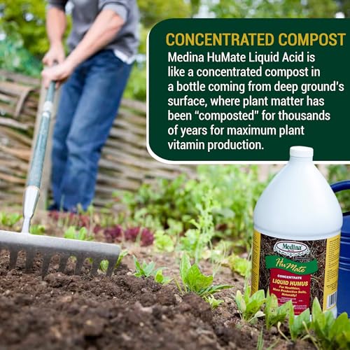 Medina Humate Humic Acid for Plants, 1 Gal, Concentrated Liquid Compost | Humic Acid for Lawn, Enhance Plant Growth, Moisture Retention, Nutrient Absorption, Humates for Soil, Covers 8000 Sq. Ft.