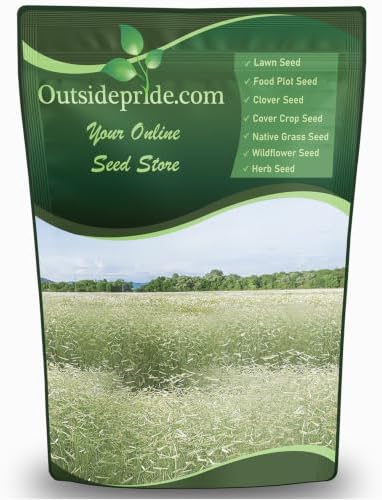 Outsidepride Blue Grama Native Grass Seed - 1 lb. Perennial, Drought Tolerant & Low Maintenance, Pasture Seeds for Planting Densely Tufted Leaves