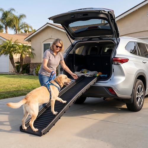 PawStep 61" Folding Pet Ramp, Portable Dog Ramp for Cars, SUVs, Beds & Couches, Lightweight PP Construction, Textured Surface