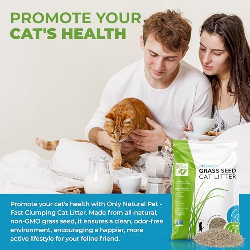 Only Natural Pet - Fast Clumping Cat Litter Non GMO Kitty Litter, Single or Multi Cat, Unscented - 20 lb Bag