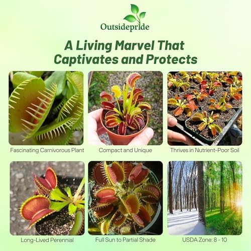 Outsidepride Venus Flytrap Seeds - 20 Pcs Perennial, Unique & Carnivorous, Indoor Plant Seeds for House Plants, Easy to Grow & Low Maintenance