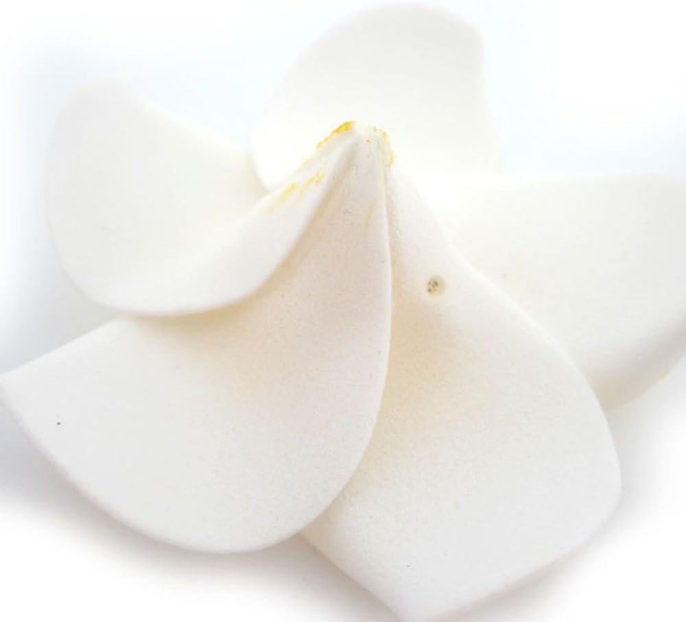 Pursuestar 100Pcs White Foam Hawaiian Frangipani Artificial Plumeria Flower Petals Cap Hair Hat Wreath Floral DIY Home Wedding Decoration 5cm