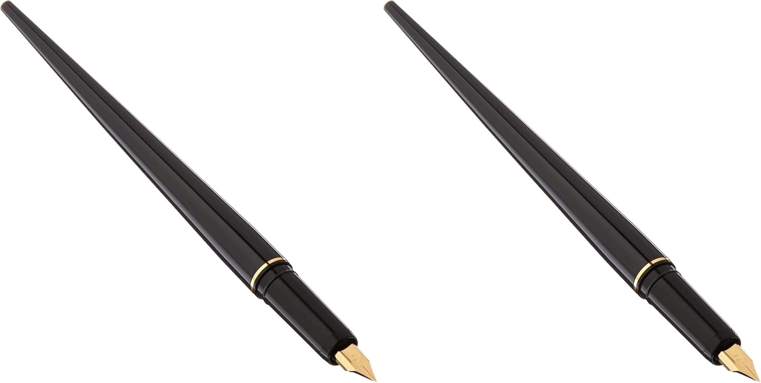 PLATINUM Fountain Pen, Black Body (DPQ-700A#1)