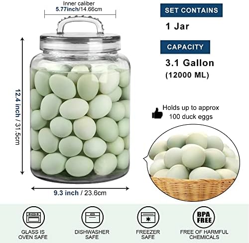 3 Gallon Glass Jar with Airtight Lid, Wide Mouth Large Glass Container