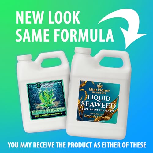 Liquid Kelp Seaweed Fertilizer Concentrate - Blue Planet Nutrients Ascophyllum Nodosum Liquid Seaweed Supplement - Makes 470 Gallons - Quart (32 oz)