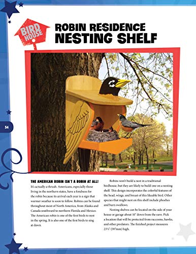 Wild & Wacky Birdhouses and Feeders: 18 Creative and Colorful Projects That Add Fun to Your Backyard (Fox Chapel Publishing) Bear, Rooster