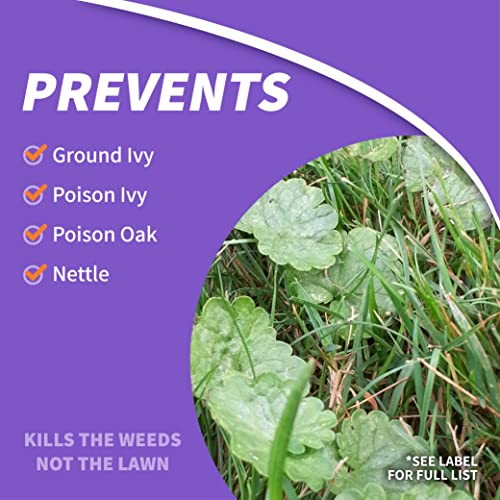 Bonide Poison Oak & Ivy Killer, 32 oz Ready-to-Use Spray | For Home Gardening, Fast-Acting Formula, Kills the Roots