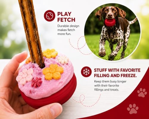 Bully Stick Holder for Dogs - Large Size - Interactive Dog Toy, Dog Treat Holder, Slow Feeder, Treat Dispenser, Chew Toy and Dog Safety Device