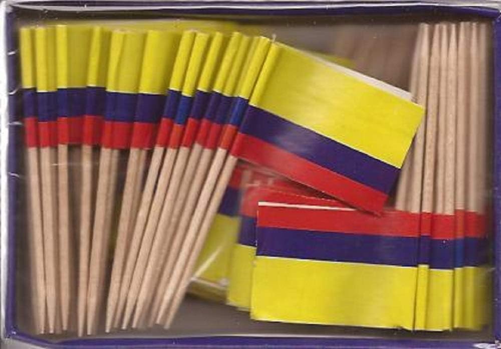 One Box of 100 Nicaragua Toothpick Flags, 100 Small Mini International Flag Cupcake Toothpicks or Cocktail Picks