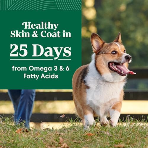 Nutro Natural Choice Small Breed Dry Dog Food, Chicken & Rice, 5 lb | Non-GMO, Real chicken #1 ingredient, no corn, wheat, soy, Omega-3 & 6 for soft shiny coat, supports energy, bones & muscles