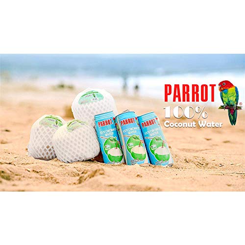 Parrot Brand Coconut Water No Pulp 490ml 16.6 fl. oz.100% Juice Refreshing Coconut Taste Natural Essential Plant Based Non-GMO Electrolytes