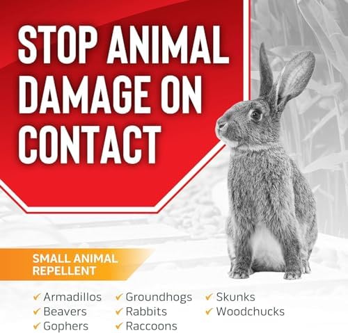 Messina Animal Stopper Granular Repellent - Safe & Effective, All Natural Food Grade Ingredients, Repels Groundhogs, Rabbits, Skunks