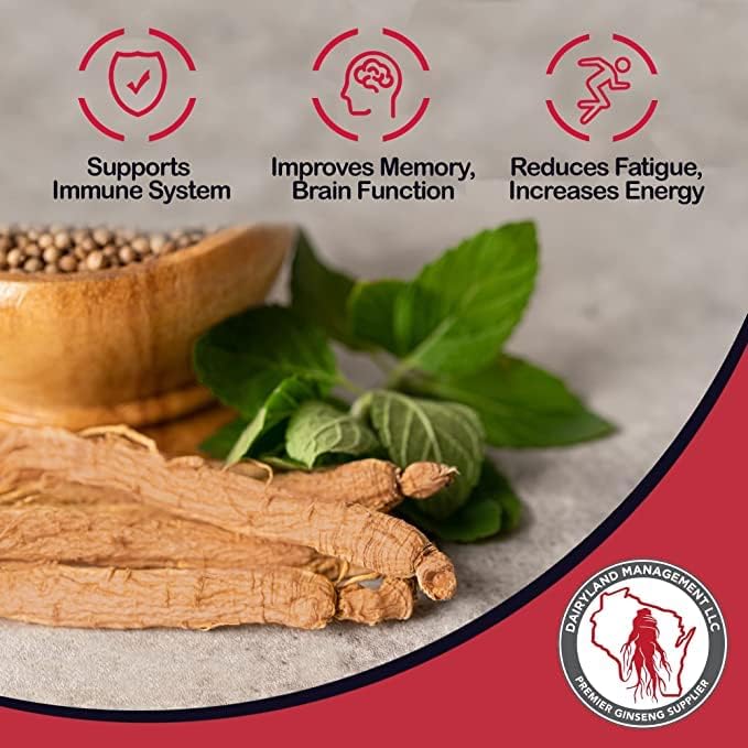 Dairyland Management LLC Red Panax Ginseng Root - 4 oz Pack of Korean Panax Ginseng Root - Authentic Panax Ginseng - Non-GMO