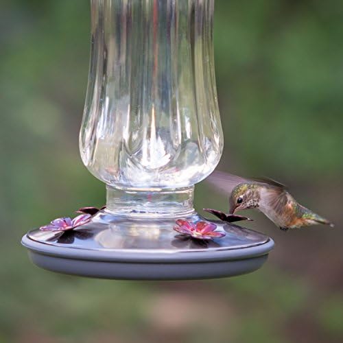 Perky Pet 8133-2 Daisy Vase Vintage Glass Hummingbird Feeder