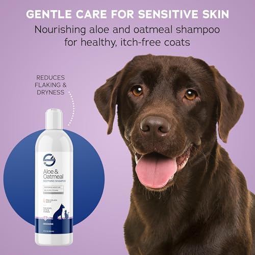 Stratford Aloe & Oatmeal Shampoo for Pets - Piña Colada Scent - 12oz | Suitable for Dogs, Cats, & Horses - Hypoallergenic