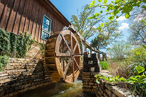 Homestead Gristmill — Stone-ground Sifted White Wheat Flour (5 lb), Artisanally Milled from Hard White Wheat Berries