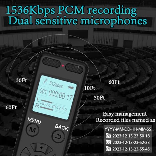 136GB Digital Voice Recorder Voice Activated Recorder for Lectures Meetings - aiworth 9860 Hours Sound Audio Recorder Dictaphone Recording Device