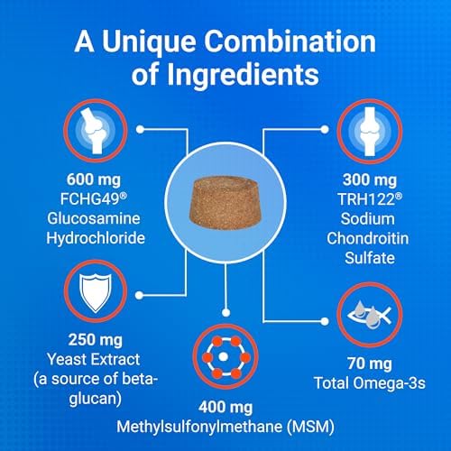 Nutramax Cosequin Dog Joint Supplement for Senior Dogs, Soft Chews, 60ct | Glucosamine + Chondroitin, MSM, Omega-3s, Beta-Glucan, Promotes Skin & Coat, Immune Health, Joint Support for Older Dogs
