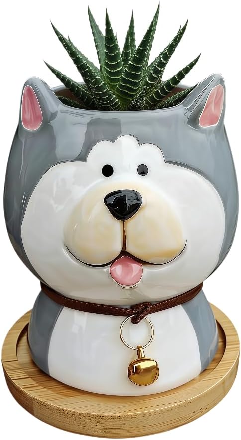 Cuteforyou Succulent Pots,Cute Animal Shaped Cartoon Ceramic Succulent Cactus Flower Planters -Plant Not Included，Cat