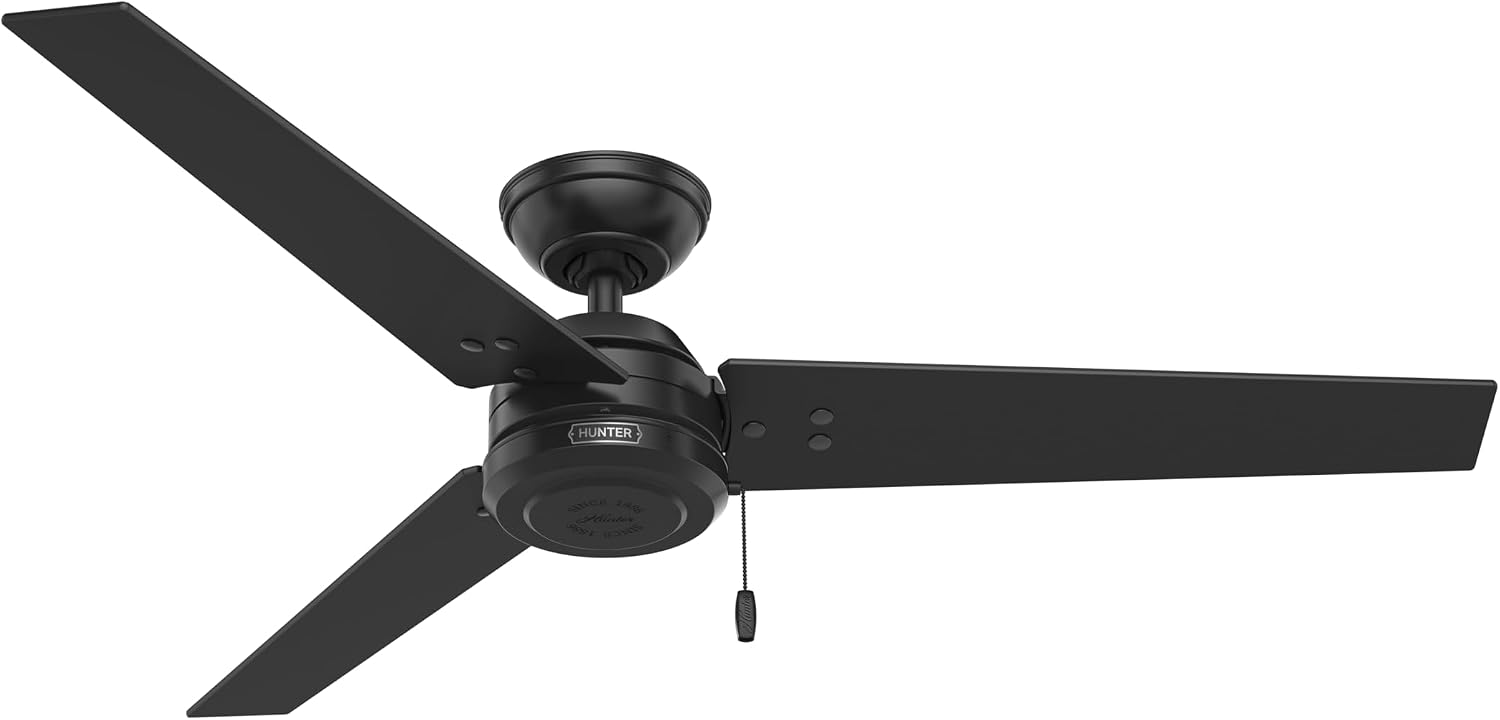 Hunter Cassius, Outdoor or Indoor, Ceiling Fan, 44 inch, Matte Black