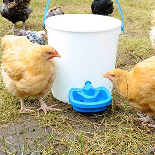 BEC MaxiCup Automatic Chicken Waterer Cup – Self-Filling Heated Poultry Drinker for Chickens, Ducks, Geese, Quail