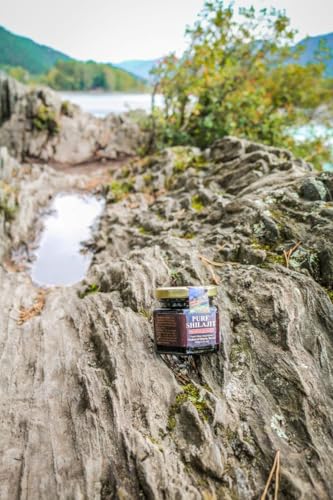 Pure Authentic Shilajit Siberian Mumijo Resin, 100 grams, 3.5 OZ