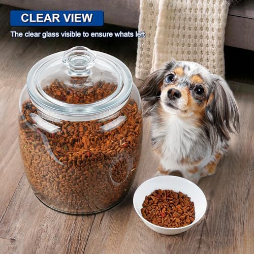Daitouge 2.5 Gallon Glass Jars with Lids, Wide Opening Large Jar, 1 Pack