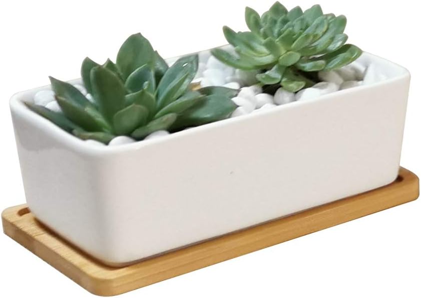 LANKER 6.5 Inch Rectangle White Ceramic Succulent Planter Pot with Bamboo Tray