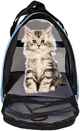MuchL Cat Carrier for Cats Soft-Sided Travel Pat Carrier for Cat with Wooden Padding Board Airline Approved Lightweight Comfortable Cat Bag for