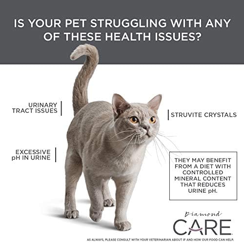 DIAMOND CARE Weight Management Adult Dry Cat Food, Chicken, 15lb | For Cats with Weight Control Issues | L-Carnitine Aids in Fat Metabolism | Taurine for Heart & Eye Health