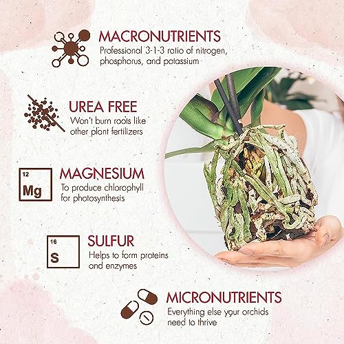 Orchid Plant Food (5 oz