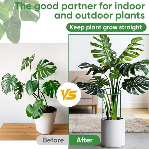 HiGift 8 Pack Plant Support Stakes, Half Round Metal Garden Plant Stake Indoor Peony Cages and Supports, Green Plant Support Ring Border for Tomato