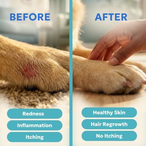 Blue Butter – Hot Spot Treatment for Dogs Cats | Dog Cat Wound Care | Skin Yeast Infections, Ringworm, Cuts, Rashes, First Aid Veterinary Strength Anti Itch Cream 4oz