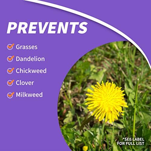 Bonide KleenUP Weed & Grass Killer Ready-To-Use, 128 oz