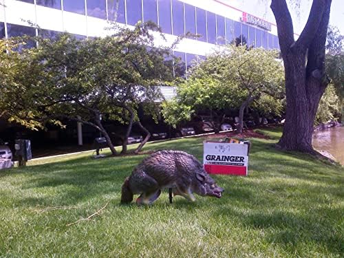 Bird-X 3D Coyote Decoy, Lifelike Predator Replica, Coyote Decoy with Moving Tail and Realistic Markings, Easy to Install, Covers up to 1 Acre of Land