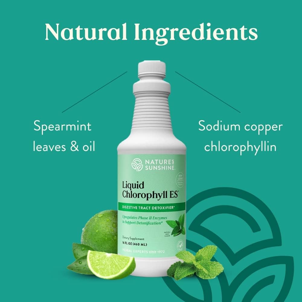 Nature's Sunshine Liquid Chlorophyll Extra Strength - Immunity Support, Detox & Cleanse, Chlorophyll Liquid Drops with Spearmint Oil, Natural Energy Boost, Internal Deodorant - 16 Fl Oz