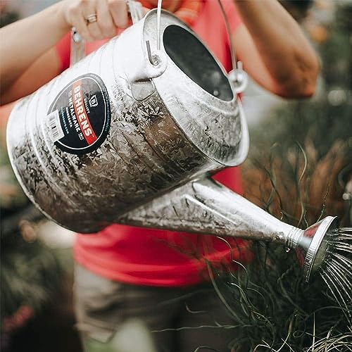 Behrens 208 2-Gallon Steel Watering Can, Silver