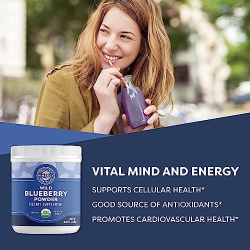 Vimergy Wild Blueberry Powder, Non-GMO, Vegan, Organic, 250g, 62 Servings | Antioxidant Used in Heavy Metal Detox Smoothie, Protects Brain Cells*, Gluten-Free