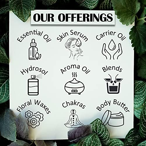 Greenwood Essential Walnut Oil (Juglans regia) | Cold Pressed | Natural | Undiluted | for Diluting Essential Oils | for Skin & Massage | Men & Women