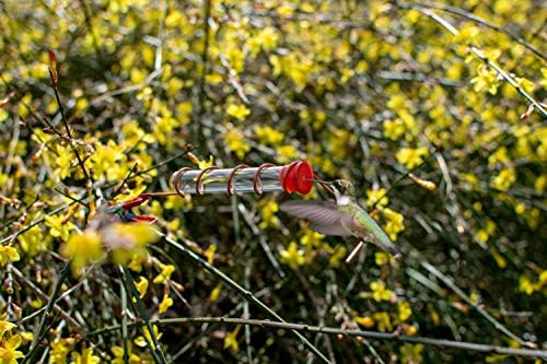 RELODECOR Hummingbird Feeder Tubes with Red Cap, 12 Pack