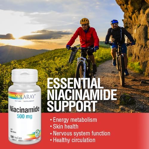 SOLARAY Niacinamide 500 mg | Vitamin B-3 | Energy Metabolism, Circulation, Nerve & Skin Health Support, 100 CT | Niacinamide Supplement
