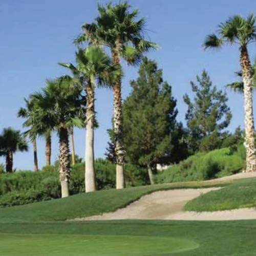 Outsidepride Royal TXD Bermuda Grass Seed Blend - 1 lb. Warm Season, Fast Growing Turf Grass Seeds: Heat & Drought Tolerant, Ideal for Home Lawns & Sports Fields, Dense & Lush Green Coverage