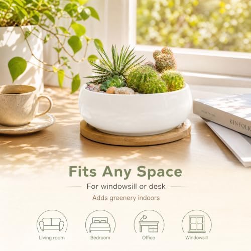 ZOUTOG 2 Pack 6" Ceramic Succulent Pots, White Planters with Drainage Tray