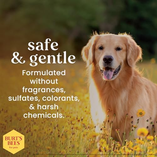 BURT'S BEES FOR PETS Ear Cleaner for Dogs with Pepeprmint and Witch Hazel, 99.7% Natural Origin Formulas, Dog Ear Cleaner, Ear Cleaning Solution for Dogs, 4 oz | 99.7 percent natural origin formula, gentle ear cleaning solution, for routine daily groomin…
