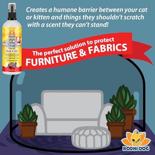 Bodhi 3-in-1 Cat & Kitten Training Aid - Cat Deterrent Spray for Indoor and Outdoor Use - Repellent to Establish Boundaries, Keep Cats Off Furniture