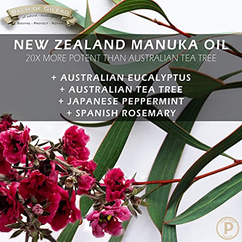 BALM OF GILEAD Manuka Eczema Honey Cream - Moisturizer for Sensitive Skin, Eczema, Psoriasis & Dermatitis - Manuka Honey Ointment, Grassfed Tallow